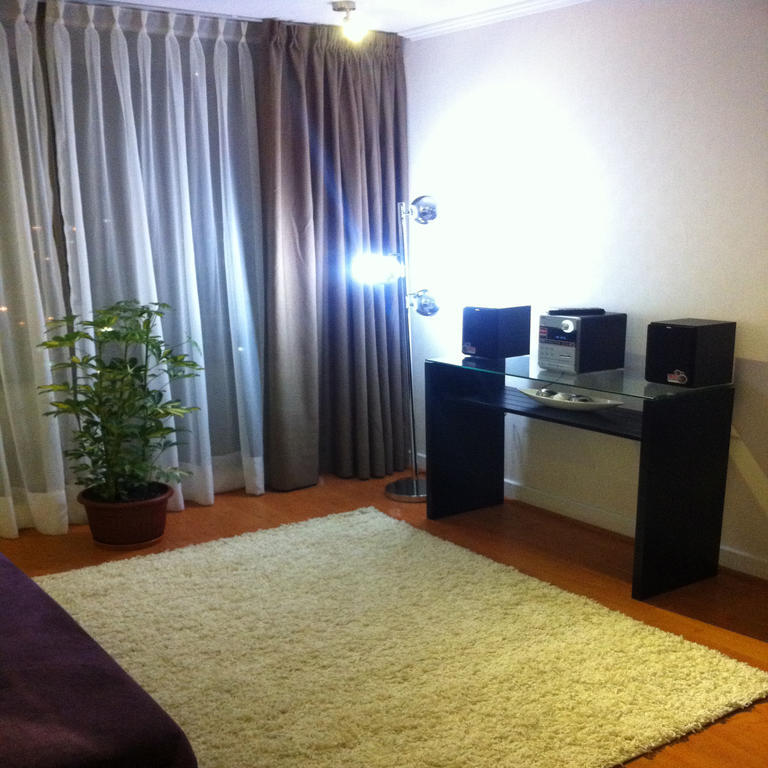 M-Montt Providencia Apartamentos Amoblados Santiago Cameră foto